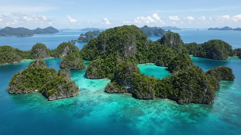 Papua